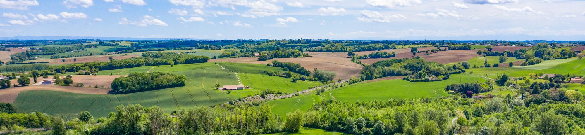 Terrains à vendre Toulouse et sa région